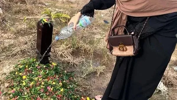 لمحة نيوز
